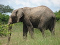 Africa-2007-01-19_04-52-26.jpg