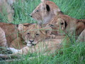 Africa-2007-01-19_10-33-10.jpg