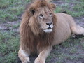 Africa-2007-01-19_23-43-39.jpg