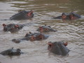 Africa-2007-01-20_00-13-12.jpg