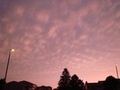 2009-08-09_19-24-26-EBC_VBS.jpg