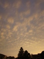 2009-08-09_19-24-36-EBC_VBS.jpg