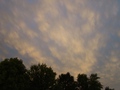 2009-08-09_19-24-58-EBC_VBS.jpg