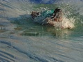 2009-08-12_18-01-16-EBC_VBS.jpg