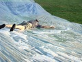2009-08-12_18-20-24-EBC_VBS.jpg