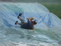 2009-08-12_18-23-27-EBC_VBS.jpg
